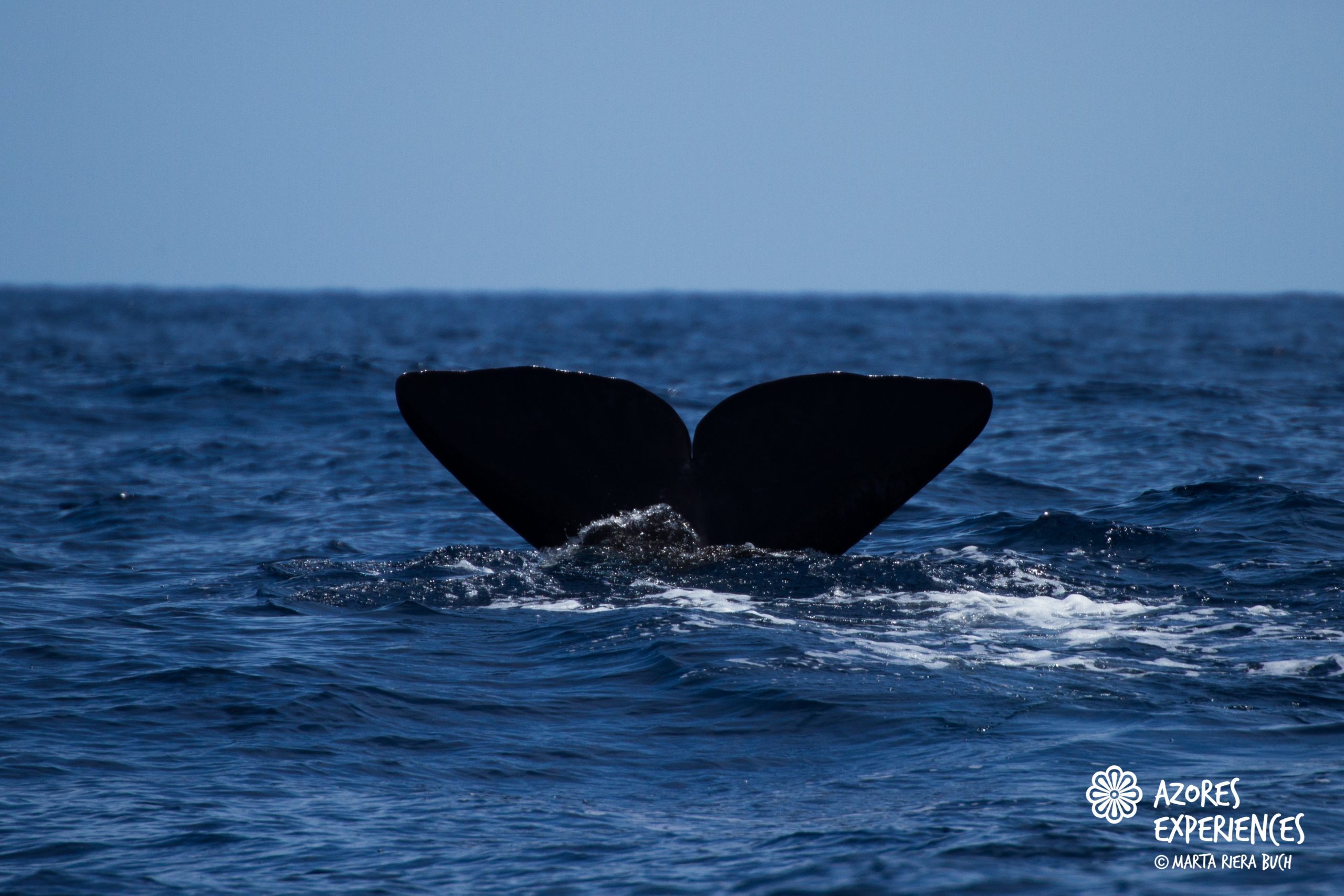 Our Third Quarantine Expedition – 17/5/20