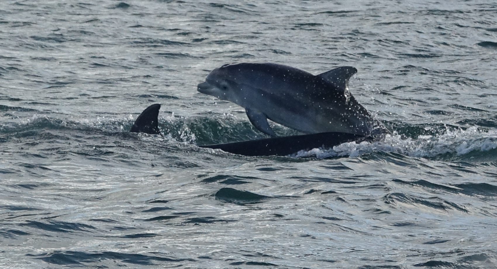 Back Offshore – 12/9/25