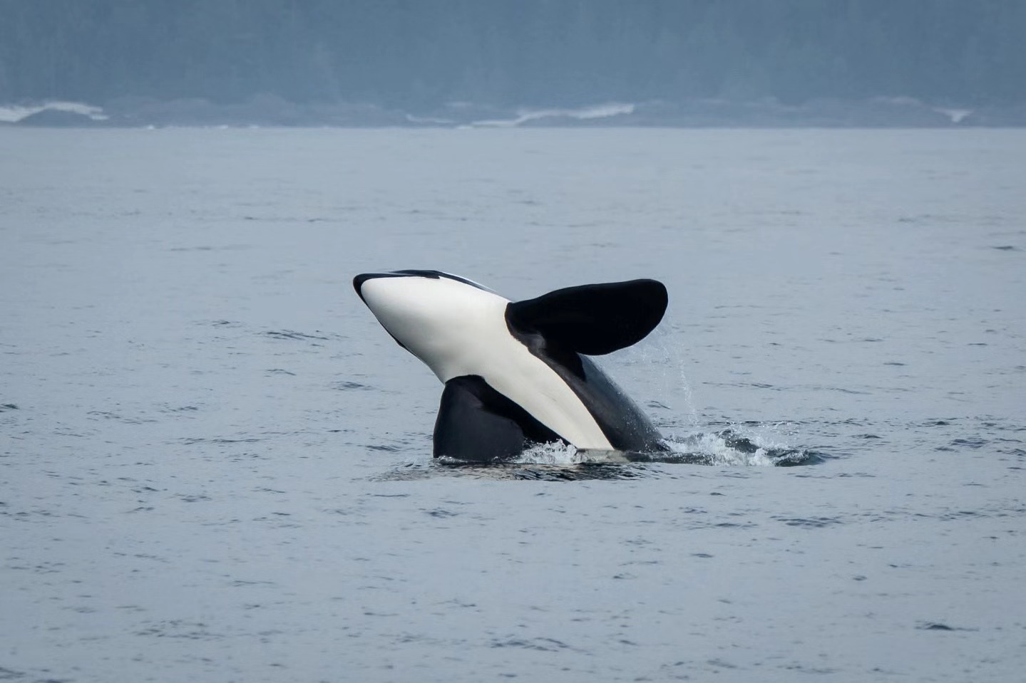 A Breach from Hartley – 7/9/25