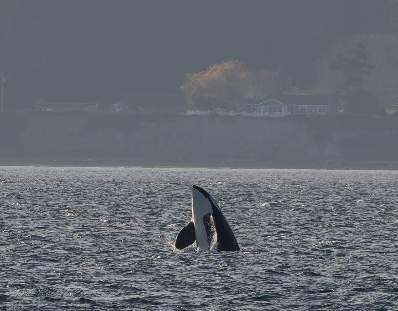 A Spectacular Day with a Superpod – 11/11/25