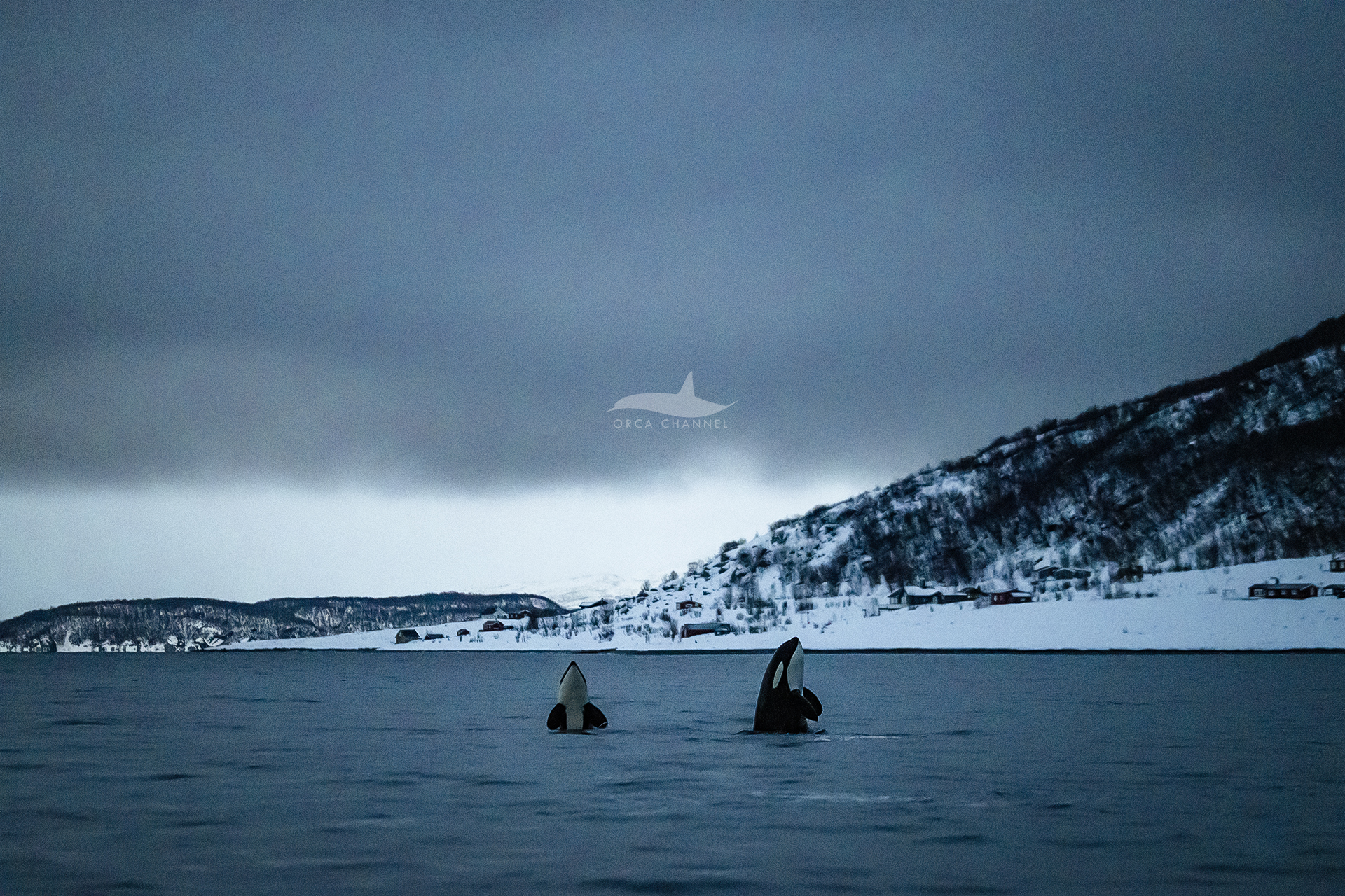 Merry Christmas! – 12/25