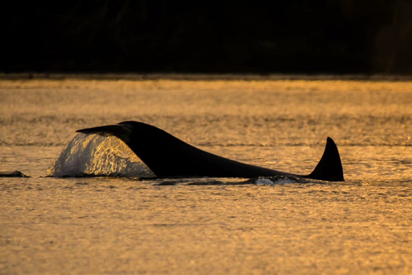 First Encounter of 2026 – 5/1/26