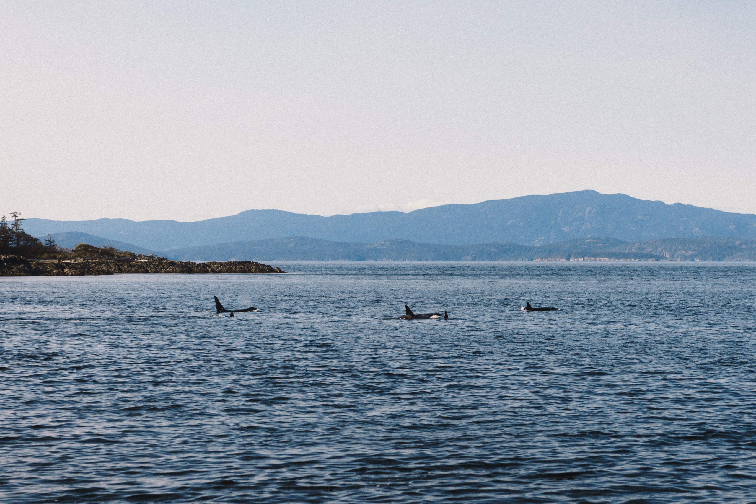 An Unexpected Encounter – 22/4/25