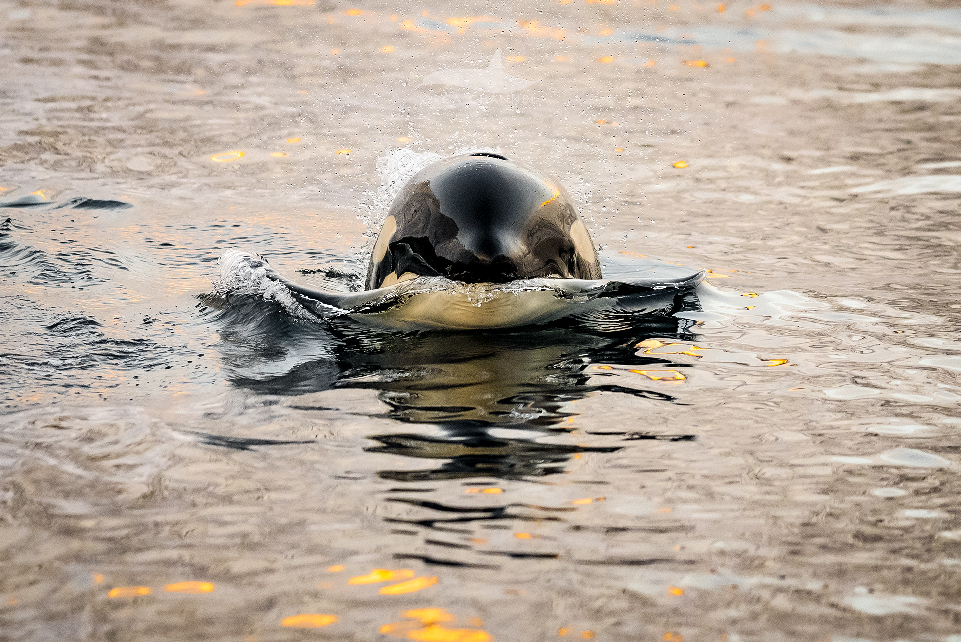 Every Day is Different – 11/25