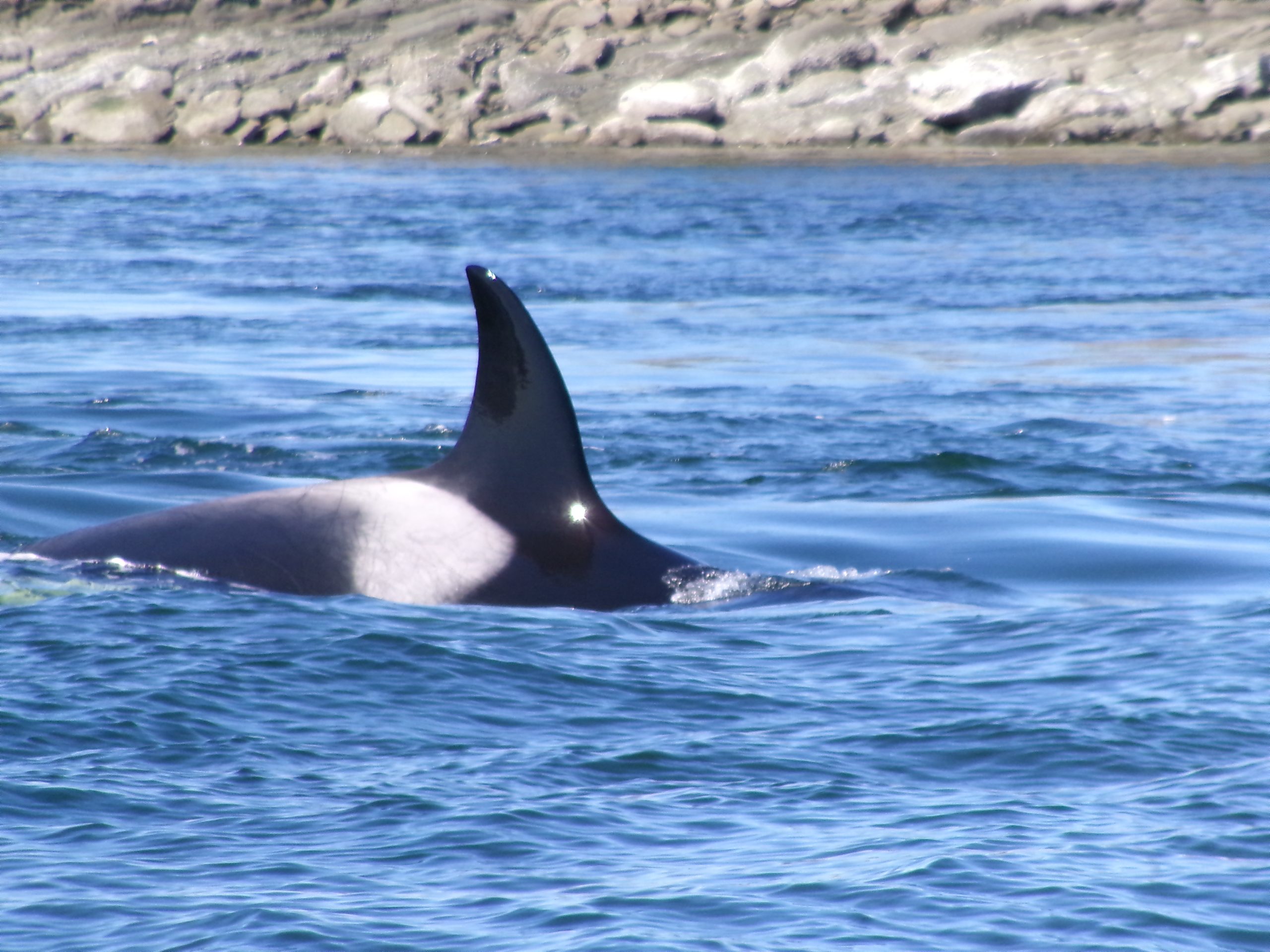 A Trip of a Lifetime – 9/7/24